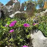 Nyaraló Nadalina