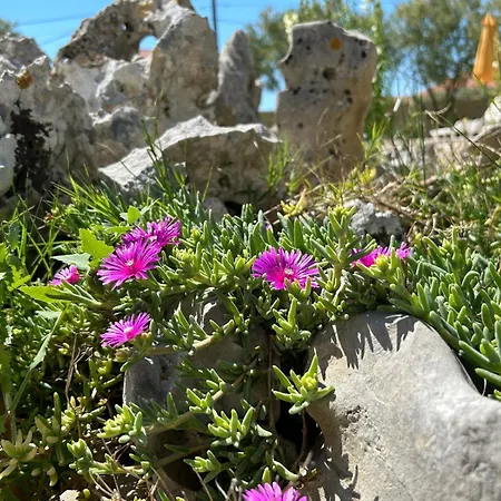 Nyaraló Nadalina